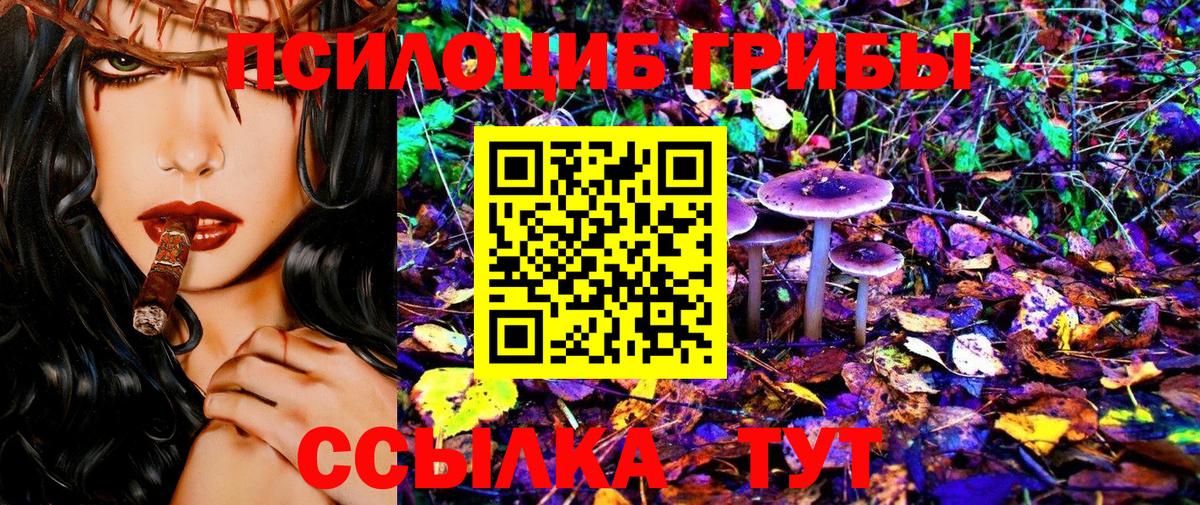 Галлюциногенные грибы Psilocybine cubensis Ялта